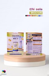 รับผลิตโบรชัวร์แผ่นพับ