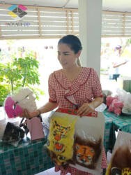 สานฝันครั้งที่ 4-9